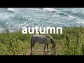 𝑷𝒍𝒂𝒚𝒍𝒊𝒔𝒕 선선한 날, 가을을 닮은 노래들🎧 ㅣSongs Like Crisp Breezes in Autumn