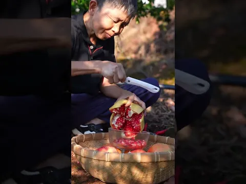 爷爷一年盼到头的石榴已经成熟了，丰收的季节让爷孙两的脸上多了幸福的笑容。