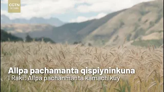 Allpa pachamanta qispiyninkuna I Raki: Allpa pachanmanta kamachikuy