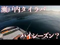 Download Lagu 瀬戸内タイラバそろそろハイシーズン？？【エボシ340 辻堂加工】