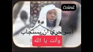 دعاء الشيخ توفيق الصايغ لأهل غزة حفظه الله 
