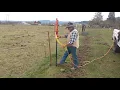 Out with the old fence posts in with the new
