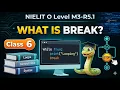 O-Level Class What Is While Break in Python Python GMINDTECH