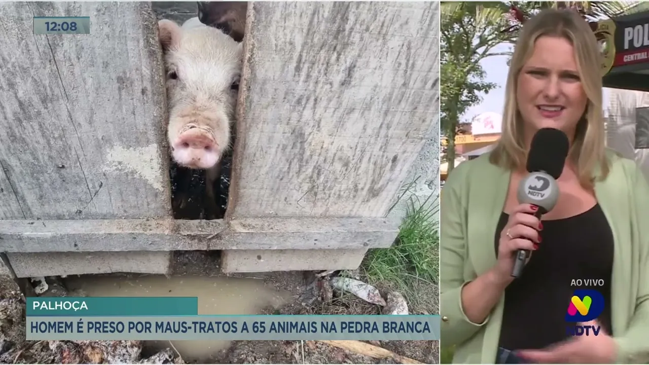 Homem é preso por maus-tratos a 65 animais em Palhoça, na Grande Florianópolis