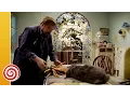 Download Lagu De avonturen van Lolly Lolbroek - Verliefd!