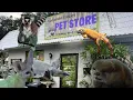 Tour of Panhandle Exotics Mini Zoo - Pensacola Fl Lemurs Foxes Fly River Turtle ETC Warning Otter