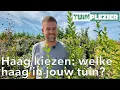 Haag kiezen: welke haag in jouw tuin? | Tuinplezier