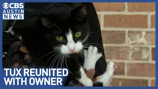 Missing Austin cat Tux found after Lyft ride
