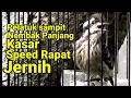 Download Lagu 🔴 Pelatuk sampit nembak panjang panjang | Masteran handal muraibatu ‼