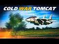 Download Lagu F-14B Tomcat Was The F-22 Raptor Of Its Time | Digital Combat Simulator | DCS |