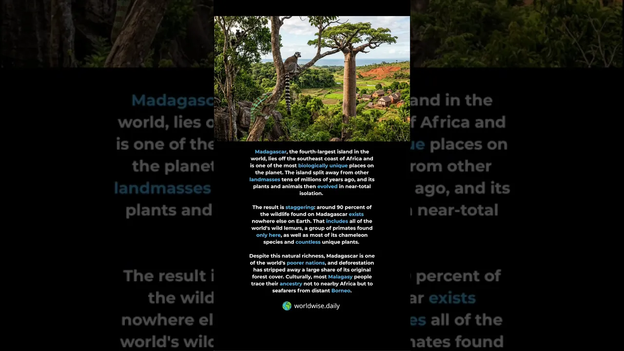 On Madagascar Around 90% of the Wildlife Exists Nowhere Else on Earth poster
