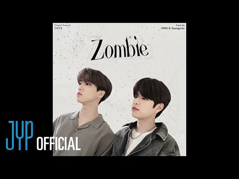 SKZ-RECORD thumbnail