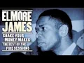 Dust My Broom - Elmore James
