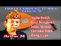 Lagu Full Lagu Lampung Tumbai (th.70an) - Arifin M.