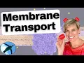 Membrane Transport Bio Basics
