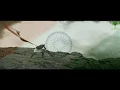 Lagu Vande Mataram Whatsapp Status | 2019