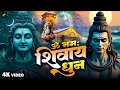 ॐ नमः शिवाय धुन | Om Namah Shivaya ShivDhun | NonStop ShivDhun | Daily Mantra | Ananaya Prakash