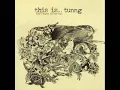 This Is... Tunng - Beautiful And Light