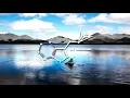 Don Diablo - You Can't Change Me