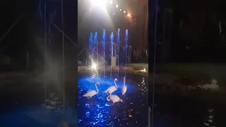 البرنس واحد بس هشام بيه العمده مع بابا المجال 