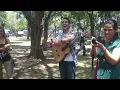 Las vacas Paulino Monroy