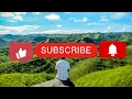 Download Lagu Beta menyerah-lagu Ambon terbaru 2025