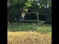 サイダー