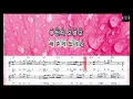[🎙노래방플리] 송하예 🎶 그대를알고 karaoke