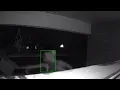 CAUGHT ON CAMERA Springfield Mo woman asks for help identifying repeat thieves