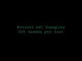 Mininet Python API SSH Daemon Per Host