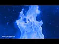 Download Lagu 852Hz BLUE FLAME • DIVINE PROTECTION • REMOVE NEGATIVE ENERGY • AURA CLEANSE