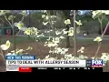 Upstate ranks among worst places to live with pollen allergies in the country
