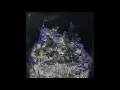 Janus Rasmussen - Pliant