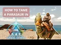 How to tame a Parasaur in ARK Survival Ascended