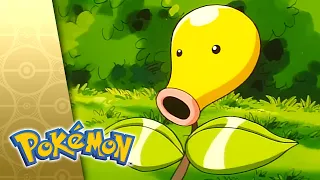 A Bout With Sprout POKEMON FULL EPISODE 14 Season 3
