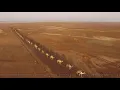 Desert Caravans by TimTaj | Mystical Arabic Desert Music 🏜️