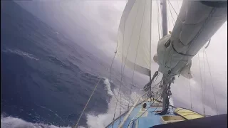 Blame it on the Dolphins?  — Sailing Uma [Step 108]