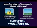 Python Image Security Project Fernet Encryption LSB Steganography