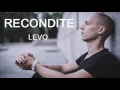 Recondite - Levo