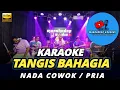 Download Lagu TANGIS BAHAGIA KARAOKE NADA PRIA / COWOK