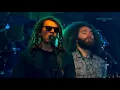 Gunsmoke - Tribal Seeds (Live @ California Roots 2018)