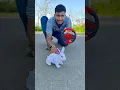 Download Lagu RC Spider Ko Hata k RC Rabbit Hi Hi 😀