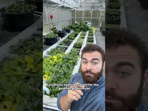 Designing a hydronic heating system with a heat pump for my greenhouse