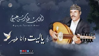 ايوب طارش   الباله   ياليت وانا طير ما يحمل مرور   تسجيل حفلة بدقة عالية دندنها