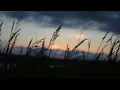Beyhude - Eskisi Gibi