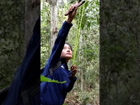 Bird shooting ep328 #nature #wildlife #cute