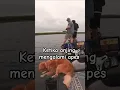 Lagu Detik detik anjing anjing mendadak sial