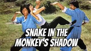 Wu Tang Collection Snake In The Monkey S Shadow Widescreen  Wu Tang Collection Snake In The Monkey S Shadow Widescreen