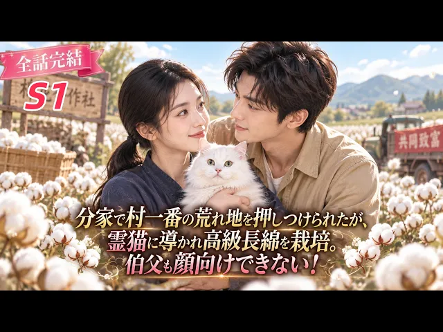 分家で村一番の荒れ地を押しつけられたが、霊猫に導かれ高級長綿を栽培。伯父も顔向けできない! 日本語字幕 無料全話