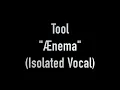 Lagu Ænema (Isolated Vocal Only Acapella) by Tool ft. Maynard James Keenan - Alternative/Progressive/Rock